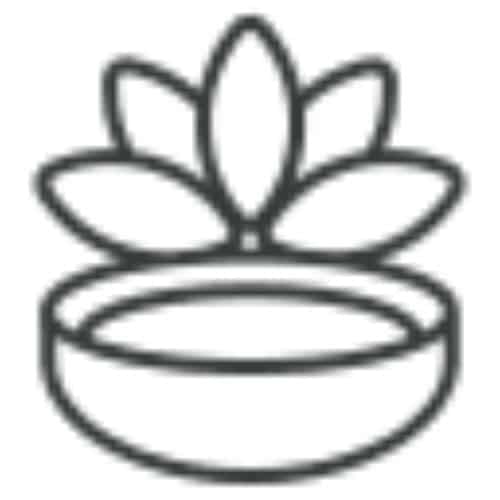 mindfulness-logopedia-ferrol-cuenco-hierba